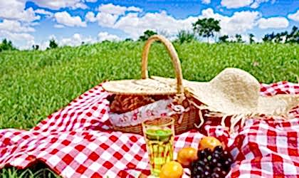 Piknik  ve  Doğa Yürüyüşü